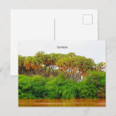 Carte Postale Somalie, photo de paysage (Devant / Derrière)