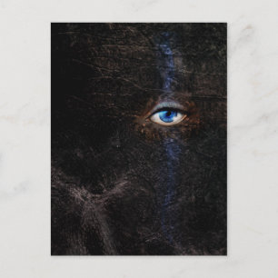 Carte postale sombre