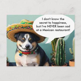 Carte Postale sombrero perro mème