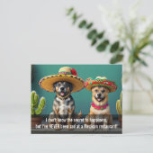 Carte Postale sombreros perros mème (Debout devant)