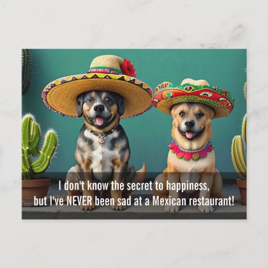 Carte Postale sombreros perros mème (Devant)