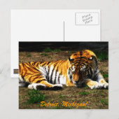 Carte Postale Sommeil (Devant / Derrière)