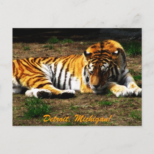 Carte Postale Sommeil (Devant)