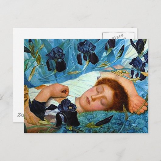 Carte Postale Sommeil dans les Irises (Devant / Derrière)