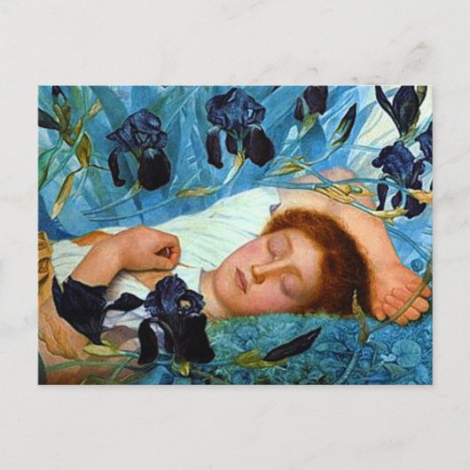 Carte Postale Sommeil dans les Irises (Devant)