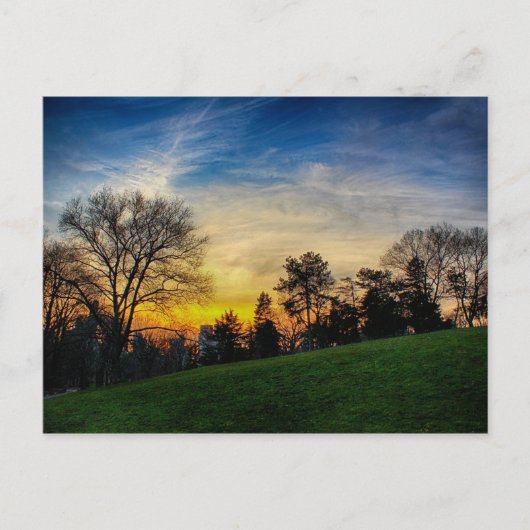 Carte Postale Sommeil magnifique à Central Park, New York (Devant)