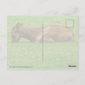 Carte Postale Sommeil petit un (Dos)