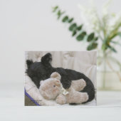 Carte Postale Sommeils de chiot de Scottie (Debout devant)
