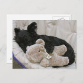 Carte Postale Sommeils de chiot de Scottie (Devant / Derrière)
