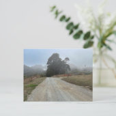 Carte Postale Sommes-nous perdus encore (Debout devant)