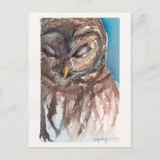 carte postale somnolente de hibou (Devant)