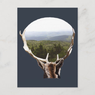 Carte Postale Son domaine