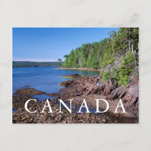 Carte Postale Son horizontal de Newman