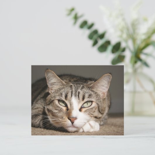 Carte Postale Son nom est l'Asie (Debout devant)