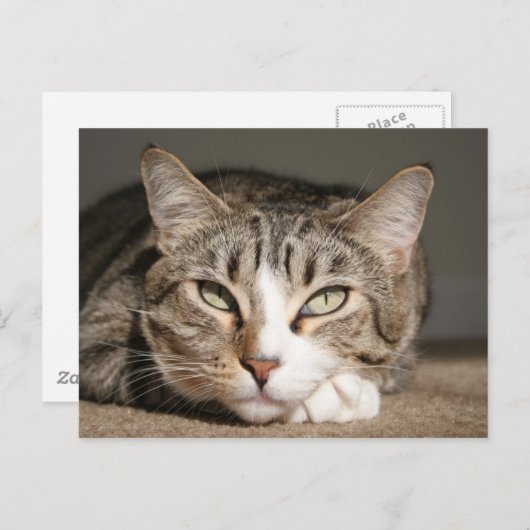 Carte Postale Son nom est l'Asie (Devant / Derrière)