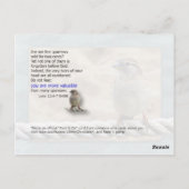 Carte Postale Son oeil est sur le Bruant (Dos)