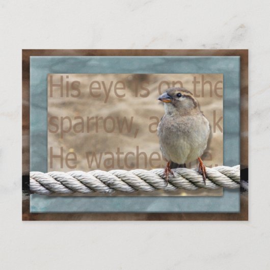 Carte Postale Son oeil est sur le Bruant (Devant)