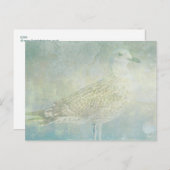 Carte Postale Sonate pour goéland (Devant / Derrière)