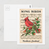 Carte Postale Song Birds Cardinal du Nord (Devant / Derrière)