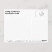 Carte Postale Song Sparrow (Dos)