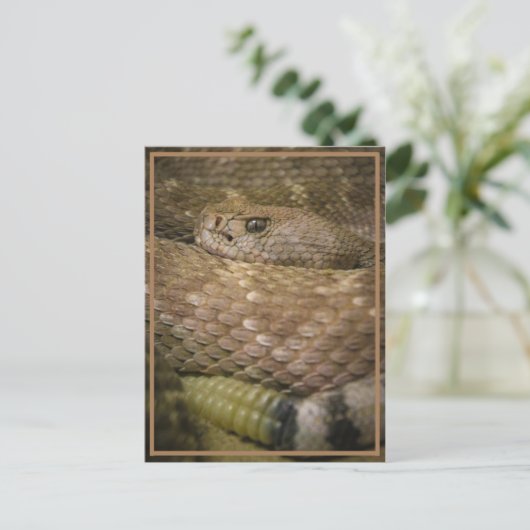 Carte Postale sonnerie (Debout devant)