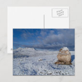 Carte Postale Sonny's Snow-capped Hill (Devant / Derrière)