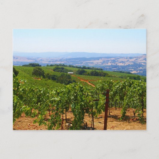 Carte Postale Sonoma (Devant)