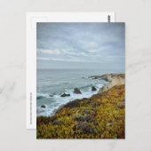 Carte Postale Sonoma Coast State Park, Californie (Devant / Derrière)