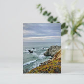 Carte Postale Sonoma Coast State Park, Californie (Debout devant)