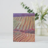 Carte Postale Sonoma Vineyards Vin de Californie (Debout devant)