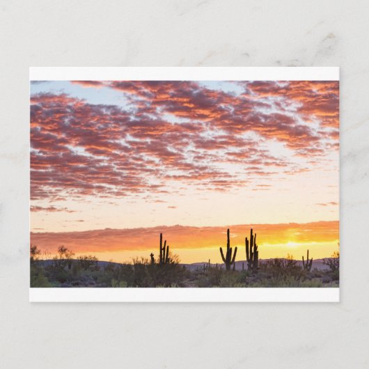Carte Postale Sonoran Desert Colorful Sunrise Morning (Devant)