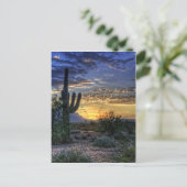 Carte Postale Sonoran Sunrise (Debout devant)