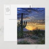 Carte Postale Sonoran Sunrise (Devant / Derrière)