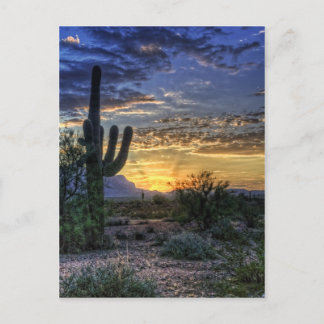 Carte Postale Sonoran Sunrise
