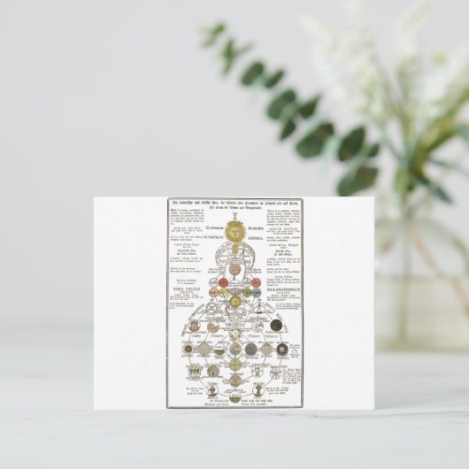 Carte Postale Sophia - transformer l'esprit (Debout devant)