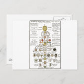 Carte Postale Sophia - transformer l'esprit (Devant / Derrière)