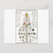 Carte Postale Sophia - transformer l'esprit (Devant)