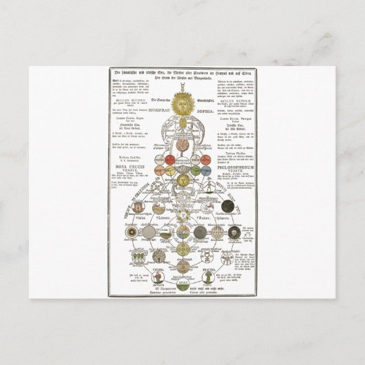 Carte Postale Sophia - transformer l'esprit (Devant)