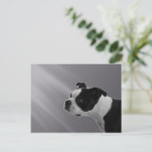 Carte postale Sophie (Debout devant)