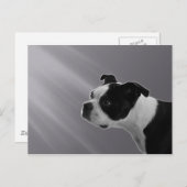 Carte postale Sophie (Devant / Derrière)