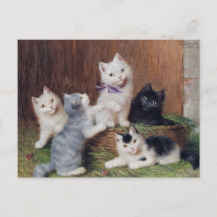Carte Postale Sophie vintage Sperlich Kittens