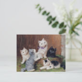 Carte Postale Sophie vintage Sperlich Kittens (Debout devant)