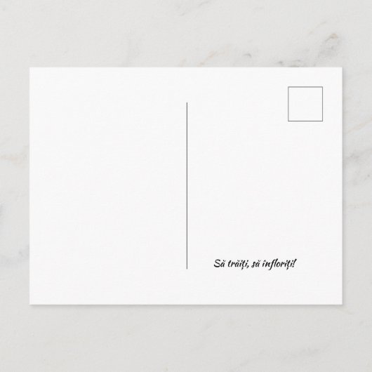 Carte Postale Sorcovitul (Dos)