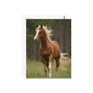 Carte Postale Sorrel avec Flaxen Mane et Queue