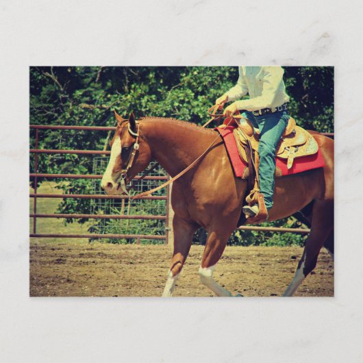 Carte Postale Sorrel Ouest (Devant)