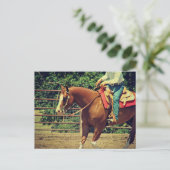 Carte Postale Sorrel Ouest (Debout devant)