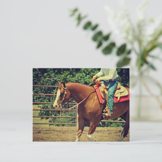 Carte Postale Sorrel Ouest (Debout devant)