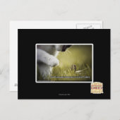 Carte Postale Sort malheureux sur vous-même (Devant / Derrière)