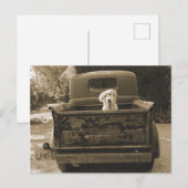 Carte Postale Sortez de Dodge - Photo de chien (Devant / Derrière)