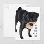 Carte Postale Sortez de la vie de gros bouchées (Devant / Derrière)